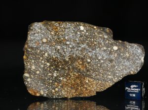 NWA 8305 (20.89 gram)