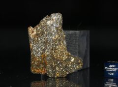 NWA 8305 (16.23 gram)