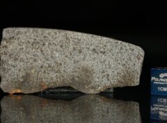 NWA 5496 (8.30 gram)