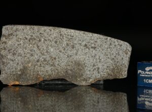 NWA 5496 (8.30 gram)
