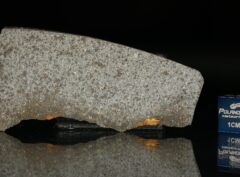 NWA 5496 (9.23 gram)