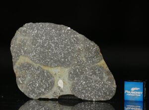 TASSÉDET 004 (16.96 gram)