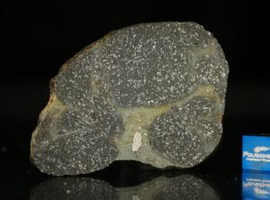 TASSÉDET 004 (22.55 gram)