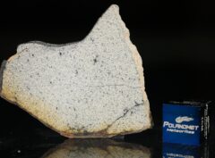 NWA 13446 (5.20 gram)