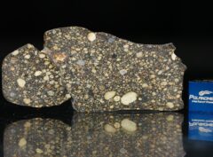 NWA 5507 (9.64 gram)
