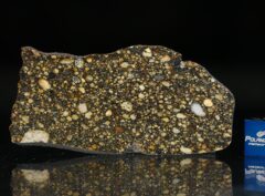 NWA 5507 (15.41 gram)