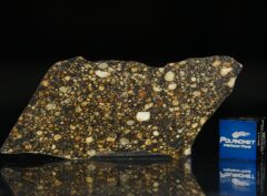 NWA 5507 (10.47 gram)