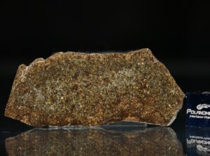 NWA 5505 (7.90 gram)