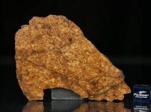 NWA 8757 (22.94 gram)