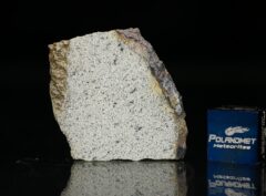 NWA 13446 (3.35 gram)
