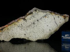NWA 13446 (6.61 gram)