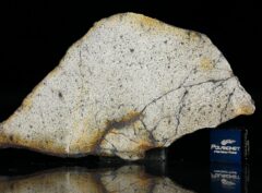 NWA 13446 (9.94 gram)
