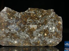 NWA 12263 (70.6 gram)