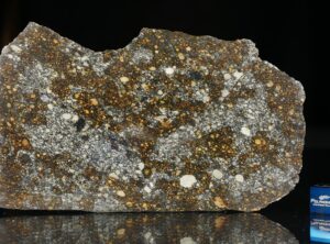NWA 12263 (83.3 gram)