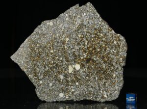 NWA 12263 (79.2 gram)