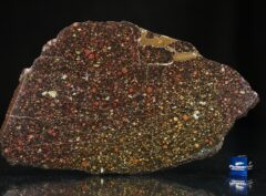 NWA 12675 (100 gram)