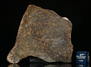 NWA 13696 (16.73 gram)