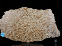 NWA 14040 (254 gram)