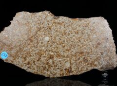 NWA 14040 (255 gram)