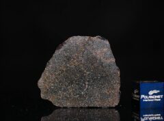 NWA 13679 (4.24 gram)