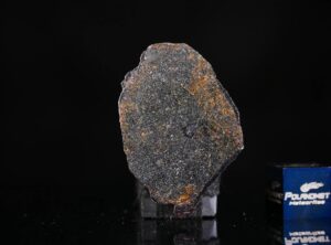 NWA 13679 (5.23 gram) endpiece