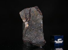 NWA 13679 (9.22 gram) endpiece