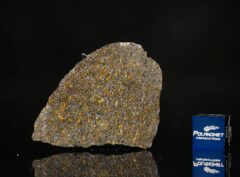 NWA 11641 (9.13 gram)