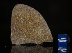 NWA 11641 (9.67 gram)