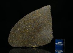 NWA 11641 (14.56 gram)