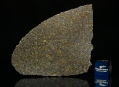 NWA 11641 (16.10 gram)