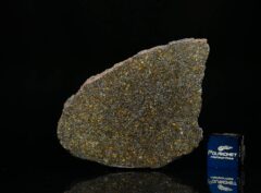 NWA 11641 (11.26 gram)