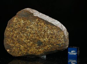 NWA 13876 (32.80 gram)