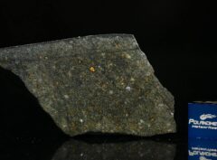 NWA 8221 (8.50 gram)