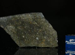 NWA 8221 (7.47 gram)