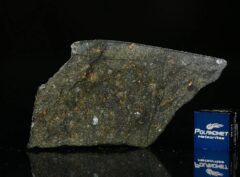 NWA 8221 (7.48 gram)