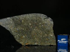 NWA 8221 (9.10 gram)