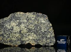 NWA 13367 (6.86 gram)