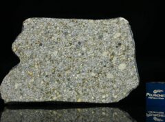 NWA 14150 (20.70 gram)