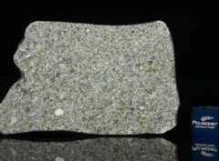 NWA 14150 (22.70 gram)