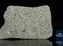 NWA 14150 (23.20 gram)