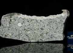 NWA 14150 (15.00 gram)