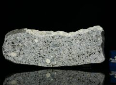 NWA 14150 (12.12 gram)