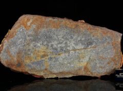 Al Haggounia 001 (79.40 gram)