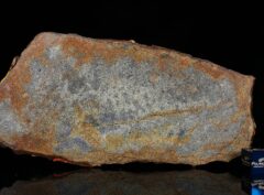 Al Haggounia 001 (78.75 gram)