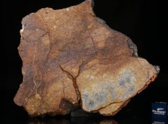 Al Haggounia 001 (65.40 gram)