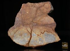 Al Haggounia 001 (74.00 gram)
