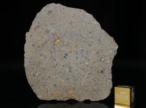 NWA 14149 (19.65 gram)