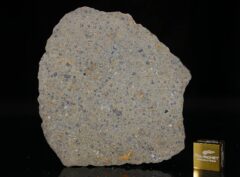 NWA 14149 (19.90 gram)