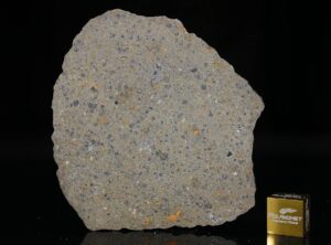 NWA 14149 (19.90 gram)