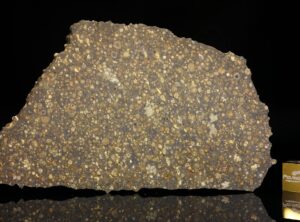 NWA 6254 (33.60 gram)